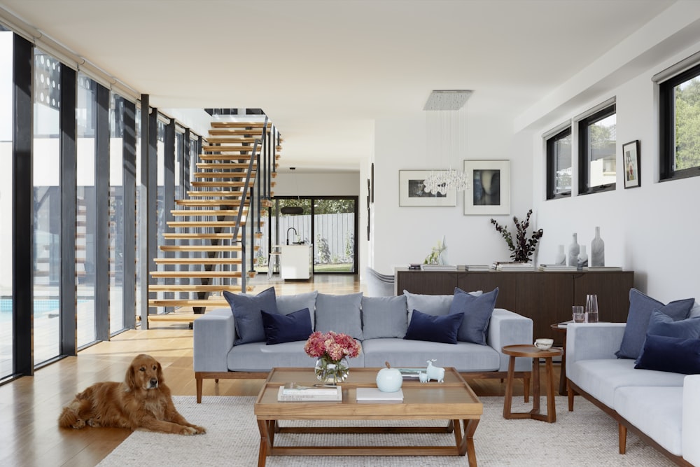 Apartamento Luz